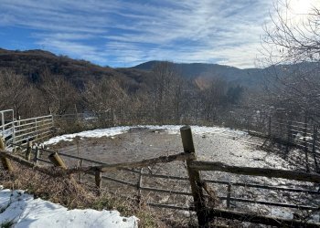 Rif. 1883 20.jpeg - Villa Pontinvrea - photo 20