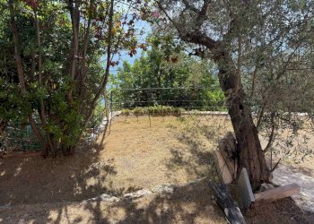 Terreno - Villa Santa Margherita Ligure - foto 4
