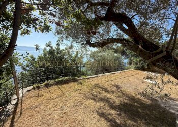 Terreno - Villa Santa Margherita Ligure - foto 10