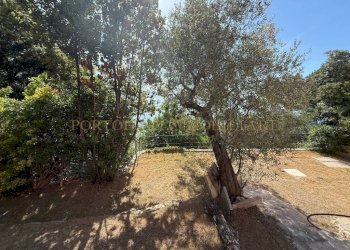 Terreno - Villa Santa Margherita Ligure - foto 30