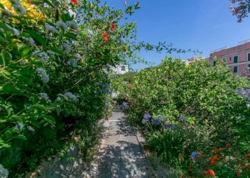 Giardino - Villa via Fanciulla d'Anzio, 1A, Anzio - photo 17