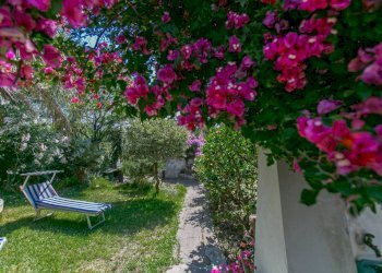 Giardino - Villa via Fanciulla d'Anzio, 1A, Anzio - photo 20