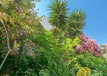 Giardino - Villa via Fanciulla d'Anzio, 1A, Anzio - photo 46