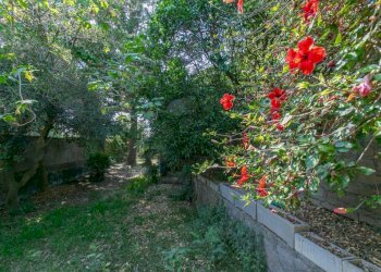 Giardino - Villa via Fanciulla d'Anzio, 1A, Anzio - photo 48