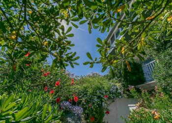 Vista - Villa via Fanciulla d'Anzio, 1A, Anzio - photo 50