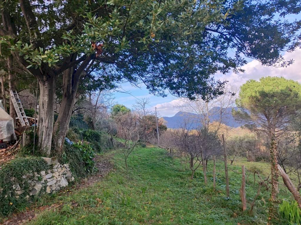 Terreno - Independent house viale Bernardo Gaggini, Camogli - photo 3