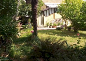 Giardino - Independent house viale Bernardo Gaggini, Camogli - photo 6