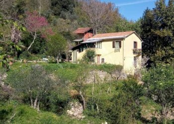 Vista - Independent house viale Bernardo Gaggini, Camogli - photo 12