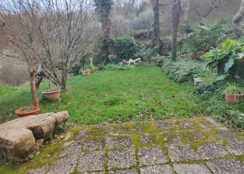 Giardino - Independent house viale Bernardo Gaggini, Camogli - photo 16