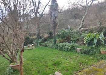 Terreno - Independent house viale Bernardo Gaggini, Camogli - photo 20