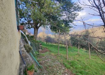 Terreno - Independent house viale Bernardo Gaggini, Camogli - photo 21