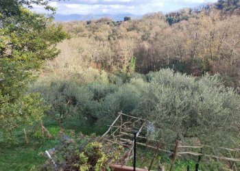 Vista - Independent house viale Bernardo Gaggini, Camogli - photo 29