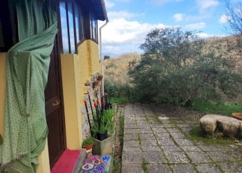 Giardino - Independent house viale Bernardo Gaggini, Camogli - photo 39