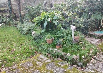 Terreno - Independent house viale Bernardo Gaggini, Camogli - photo 40