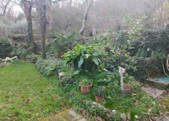 Terreno - Independent house viale Bernardo Gaggini, Camogli - photo 48
