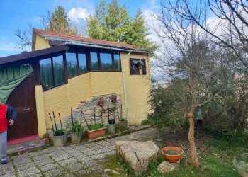 Giardino - Independent house viale Bernardo Gaggini, Camogli - photo 49