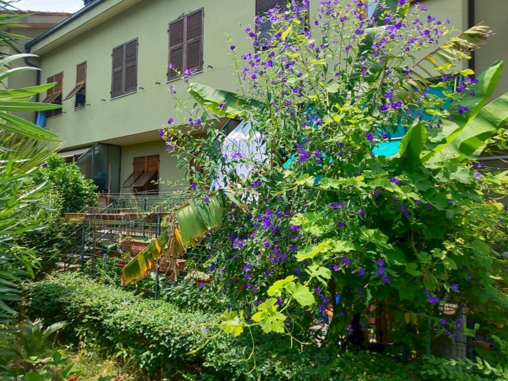 Facciata - Villa a Schiera via Manfro e Merlini, Albenga - foto 2