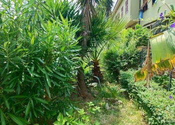 Giardino - Villa a Schiera via Manfro e Merlini, Albenga - foto 36