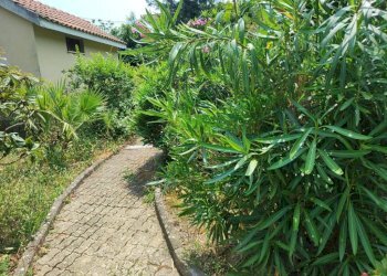 Giardino - Villa a Schiera via Manfro e Merlini, Albenga - foto 43