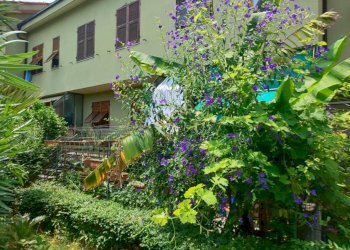 Facciata - Villa a Schiera via Manfro e Merlini, Albenga - foto 4