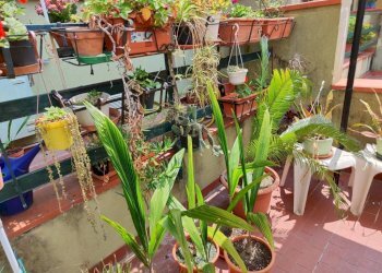 Terrazzo - Villa a Schiera via Manfro e Merlini, Albenga - foto 13