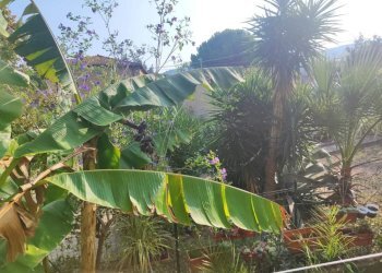 Giardino - Villa a Schiera via Manfro e Merlini, Albenga - foto 29