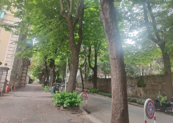Zona - Appartamento via Albaro, Genova (zona Albaro) - foto 8