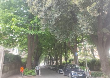 Giardino - Appartamento via Albaro, Genova (zona Albaro) - foto 20