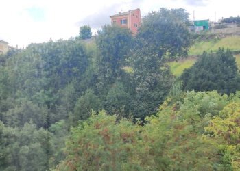 Vista - Trilocale salita Dante Conte, Genova (zona Sampierdarena) - foto 16