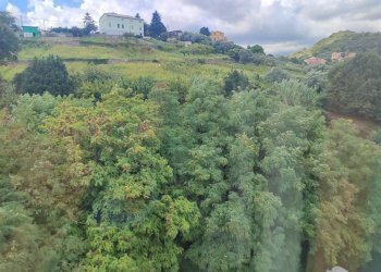 Terreno - Trilocale salita Dante Conte, Genova (zona Sampierdarena) - foto 31