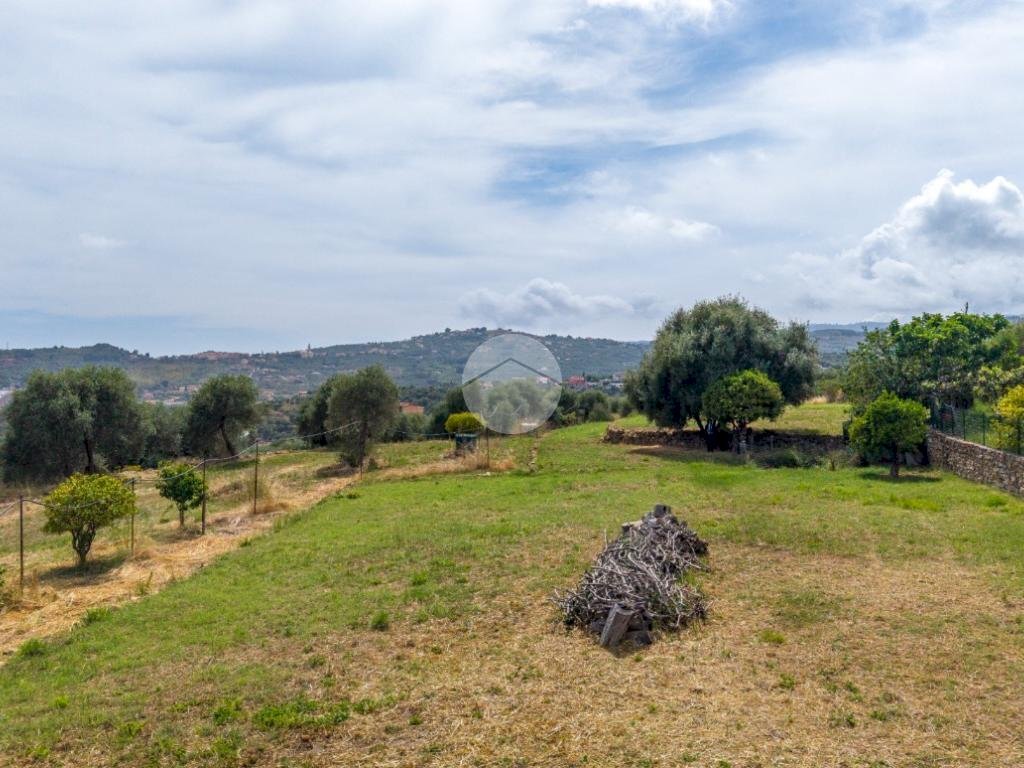 Terreno edificabile Strada Comunale dei Massabovi, Imperia - foto 2