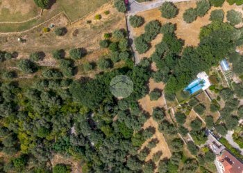 Building land Strada Comunale dei Massabovi, Imperia - photo 14