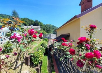 Villa Località Cornaro, Torriglia - photo 35