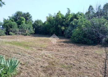 Casa indipendente Via quintanello, Vigone - foto 14