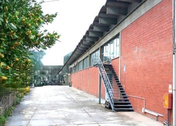Capannone Montelupo Fiorentino - foto 1