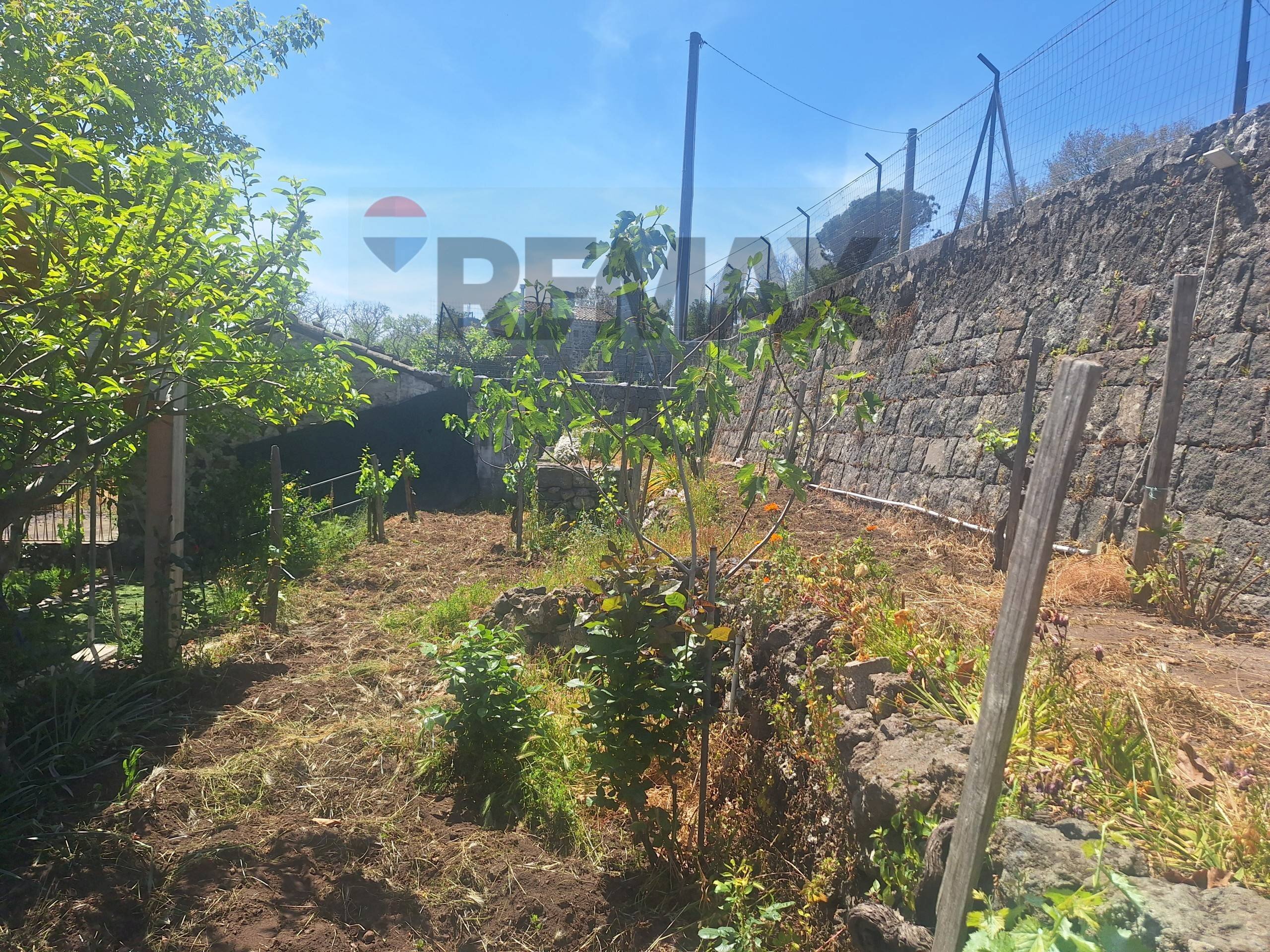 Giardino - Rustic Contrada Malopasso
 
snc, Linguaglossa - photo 3