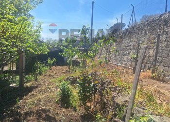 Giardino - Rustic Contrada Malopasso
 
snc, Linguaglossa - photo 3