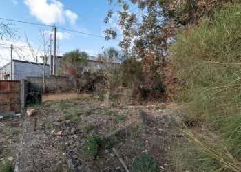 Giardino - Terreno edificabile via dei papaveri
 
sn, Mascalucia - foto 6