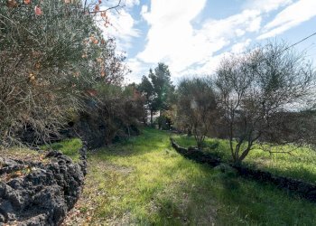 Giardino - Terreno edificabile via dei papaveri
 
sn, Mascalucia - foto 7