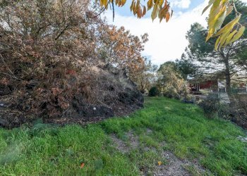 Giardino - Terreno edificabile via dei papaveri
 
sn, Mascalucia - foto 8