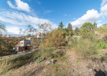 Giardino - Terreno edificabile via dei papaveri
 
sn, Mascalucia - foto 16