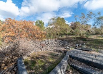 Giardino - Terreno edificabile via dei papaveri
 
sn, Mascalucia - foto 18