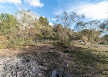 Giardino - Terreno edificabile via dei papaveri
 
sn, Mascalucia - foto 22