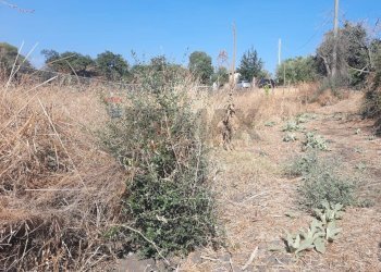 Non correlato - Terreno agricolo contrada decima
snc, Belpasso - foto 13