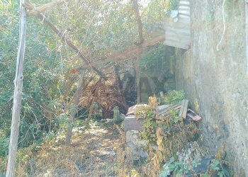 Giardino - Rustico via strada 8 Malpassoti
 
337, Riposto - foto 9