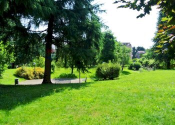 Giardino - One-room apartment via Cassanese
 
41, Segrate - photo 8