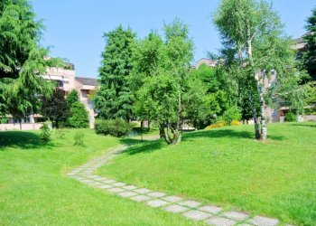 Giardino - One-room apartment via Cassanese
 
41, Segrate - photo 9