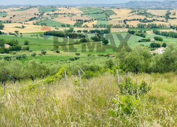 Vista delle montagne - Terreno agricolo Contrada Castelnuovo
 
1, Recanati - foto 8