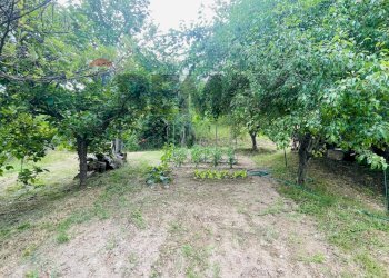 Giardino - Terreno agricolo Contrada Castelnuovo
 
1, Recanati - foto 18