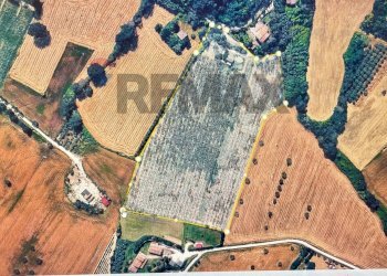Posizione della mappa - Terreno agricolo Contrada Castelnuovo
 
1, Recanati - foto 29
